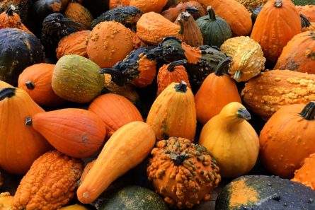 How To Usher In The Fall Season With Pumpkin & Squash Goodness