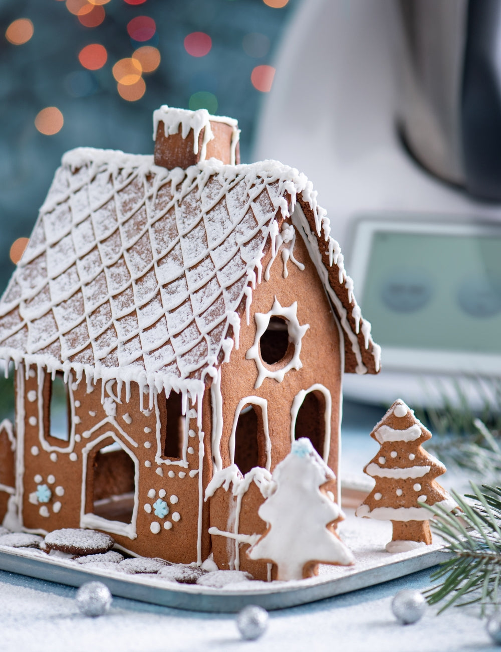 Gingerbread House Mold Create Festive Treats! – Thermomix